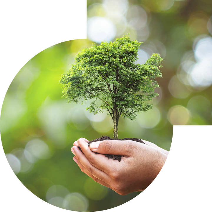 关怀人类、文化、环境与社会